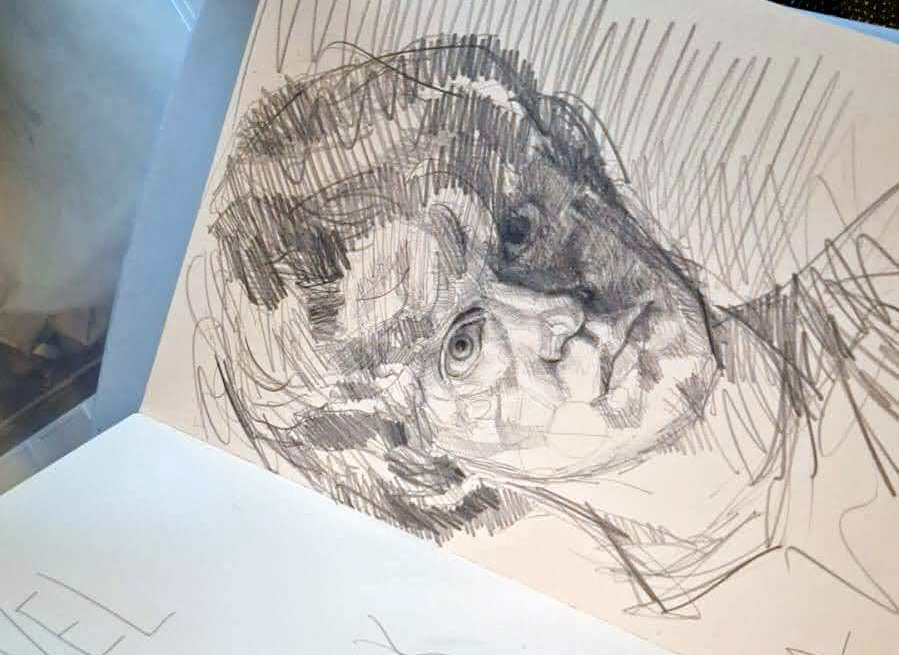 pencil drawing portrait